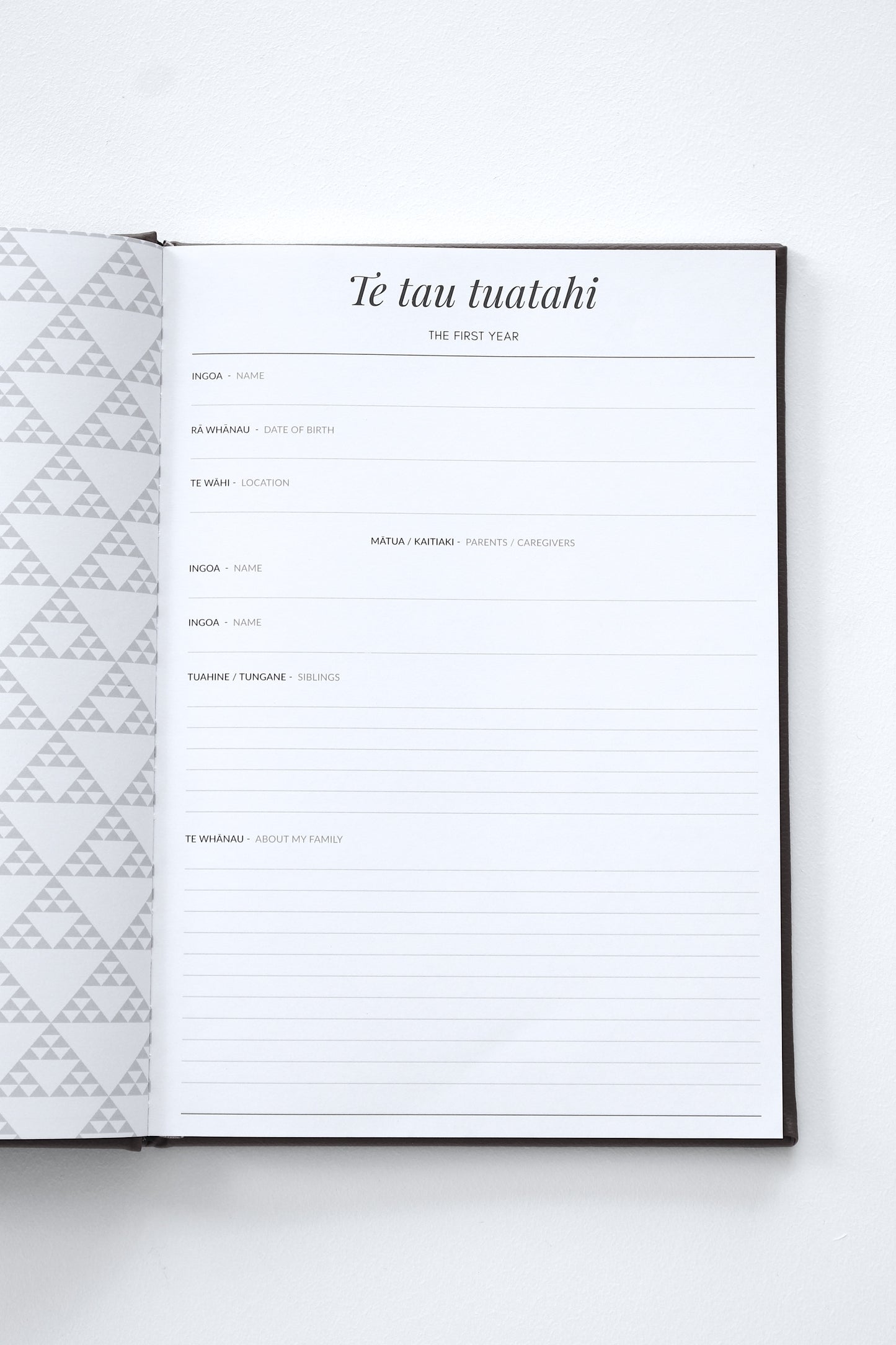 Ngā Tau 21 - 21 Years Book