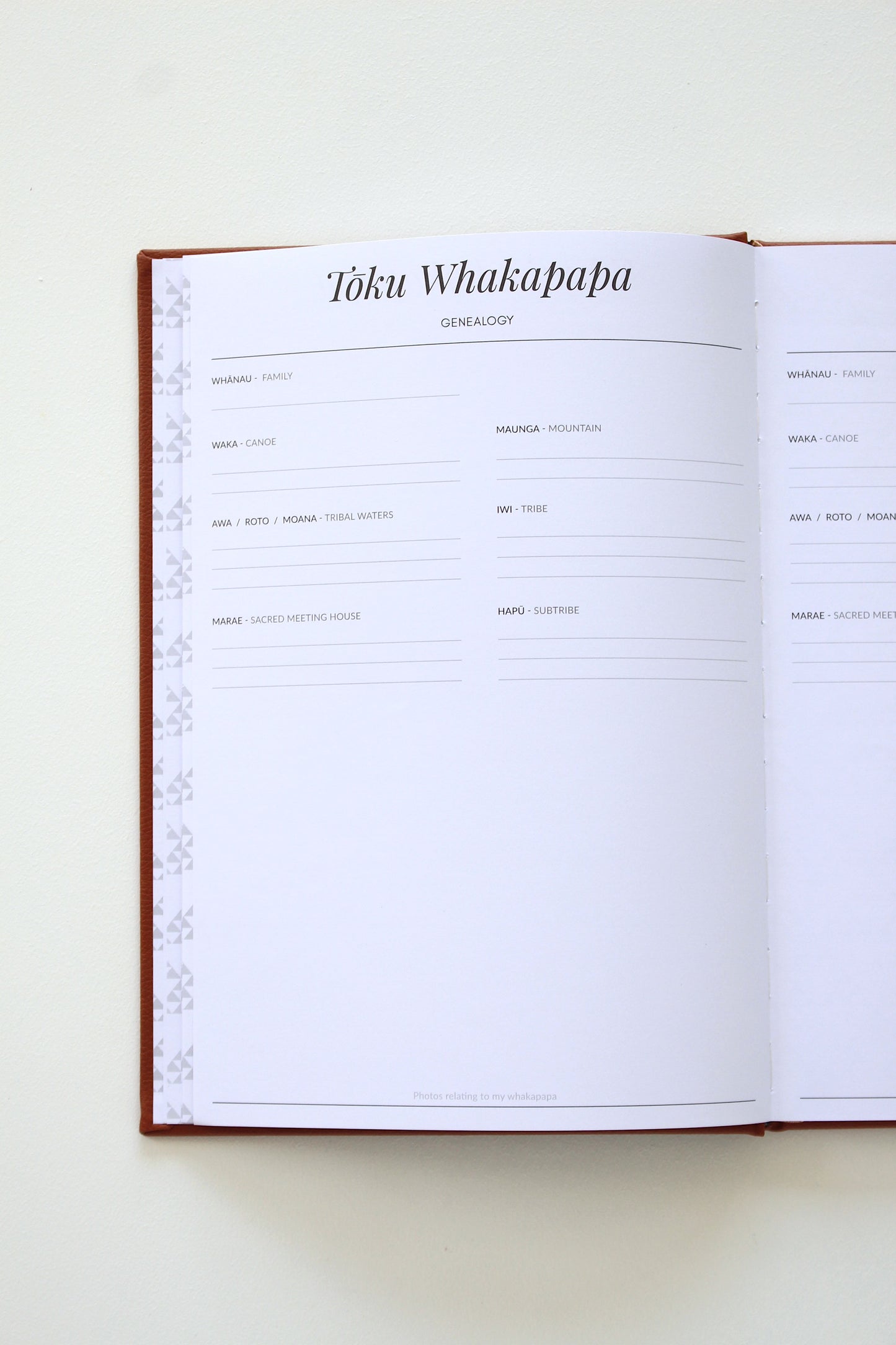 Ngā Tau 21 - 21 Years Book