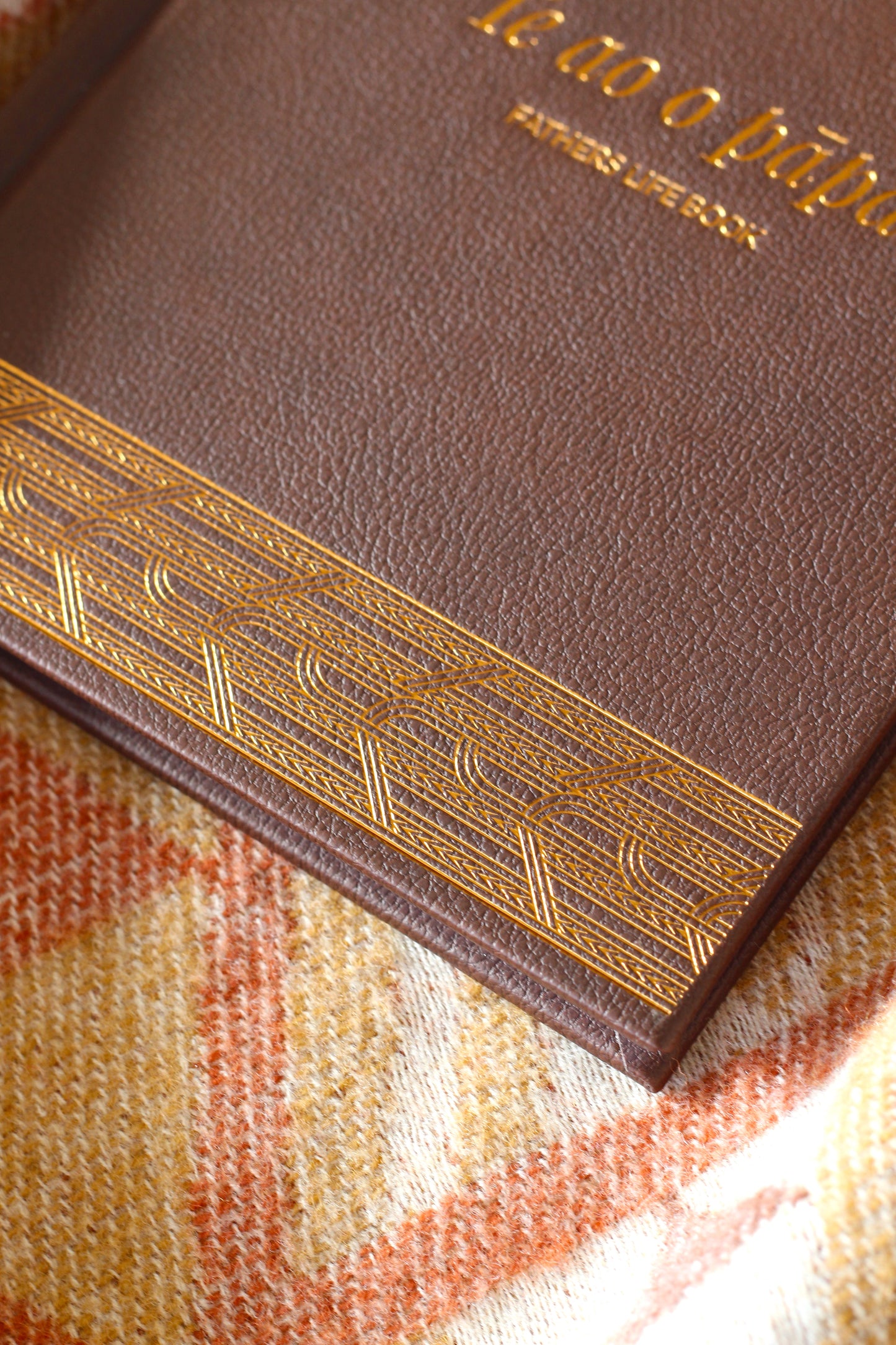 Te ao o Pāpā - Fathers life book