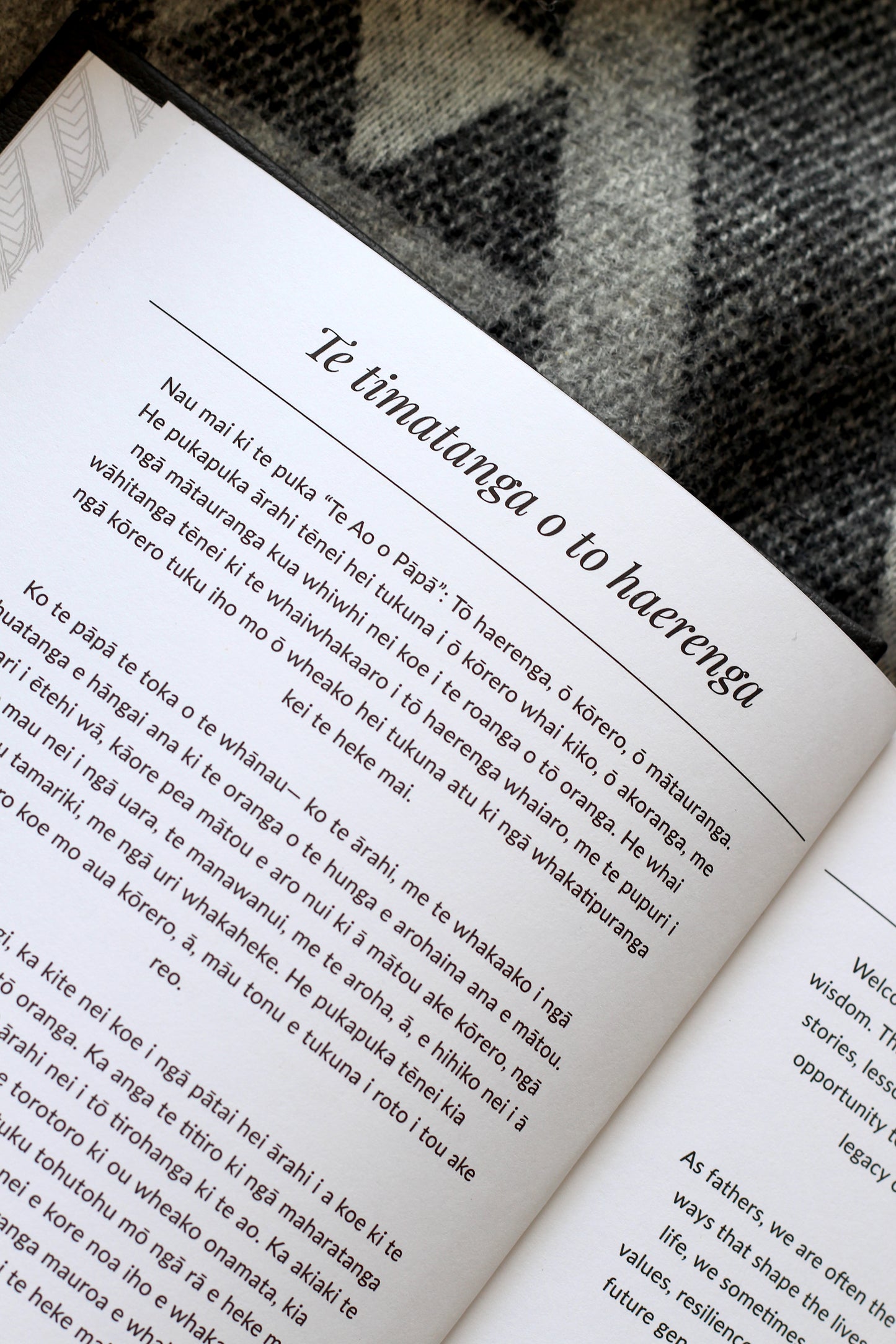 Te ao o Pāpā - Fathers life book
