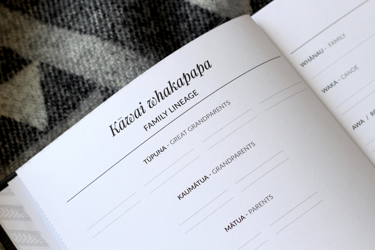 Te ao o Pāpā - Fathers life book