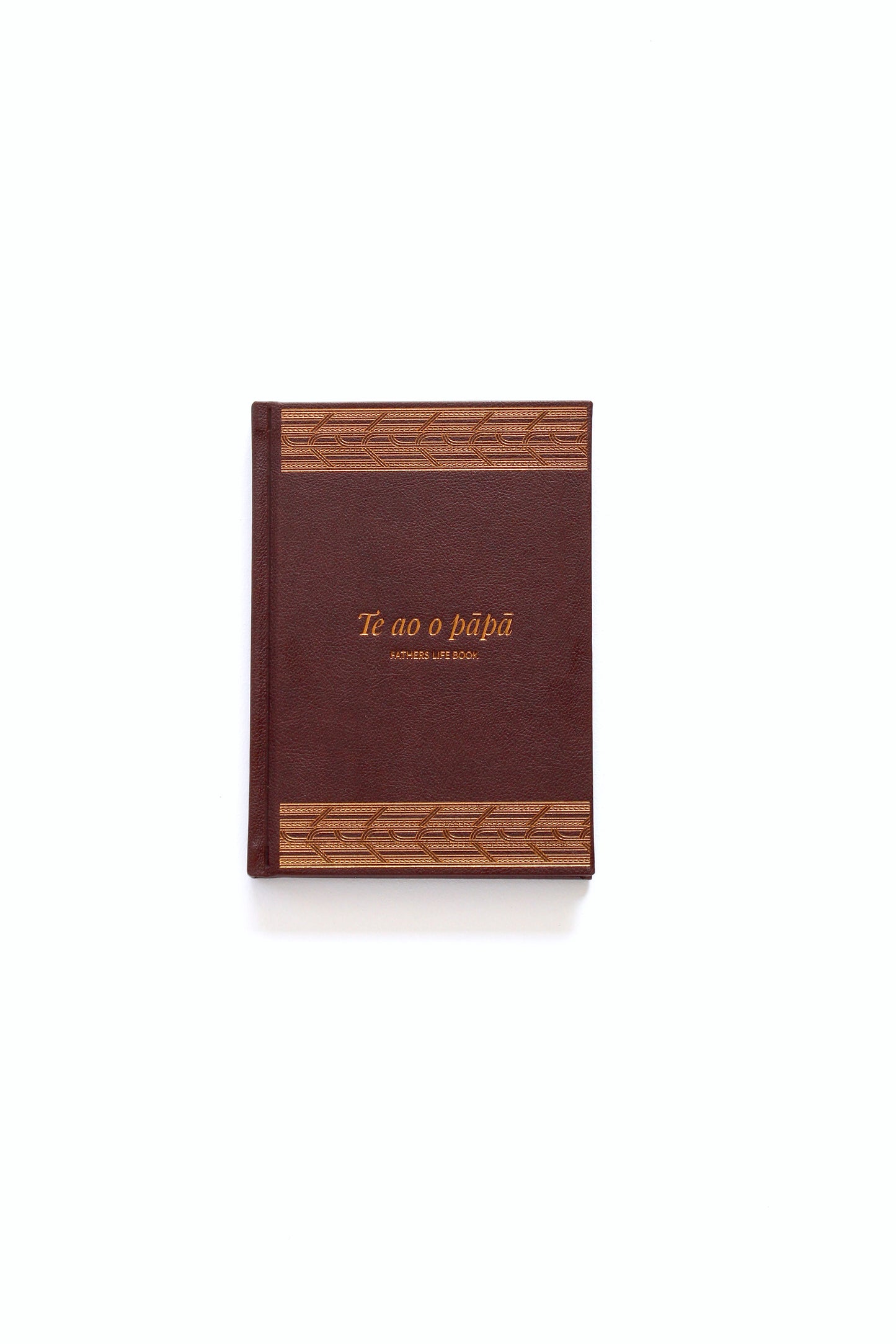 Te ao o Pāpā - Fathers life book