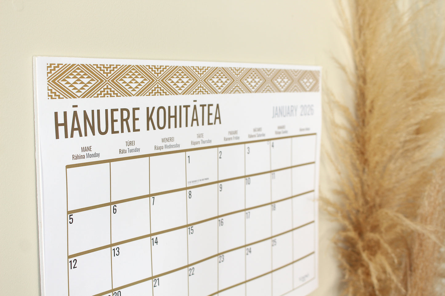 PRE-ORDER: A3 TAANIKO